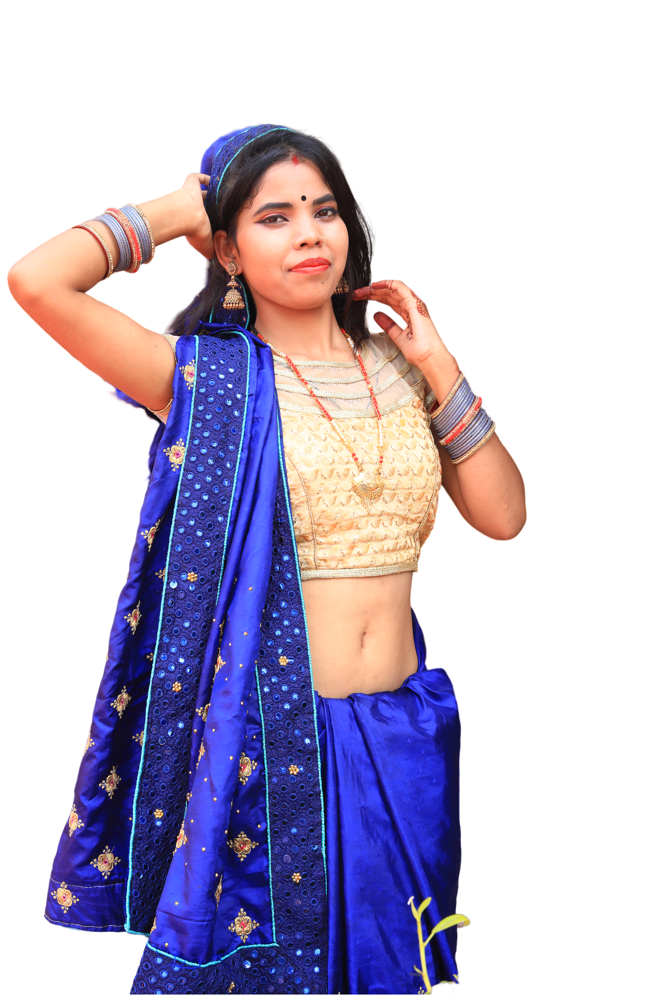 Bhojpuri Heroin HD PNG Image (5)